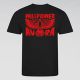 Aura Resonance Bundle