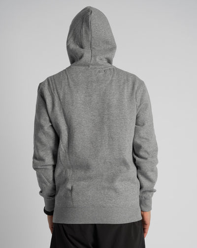 "Alma Mater" Hoodie (Grey)