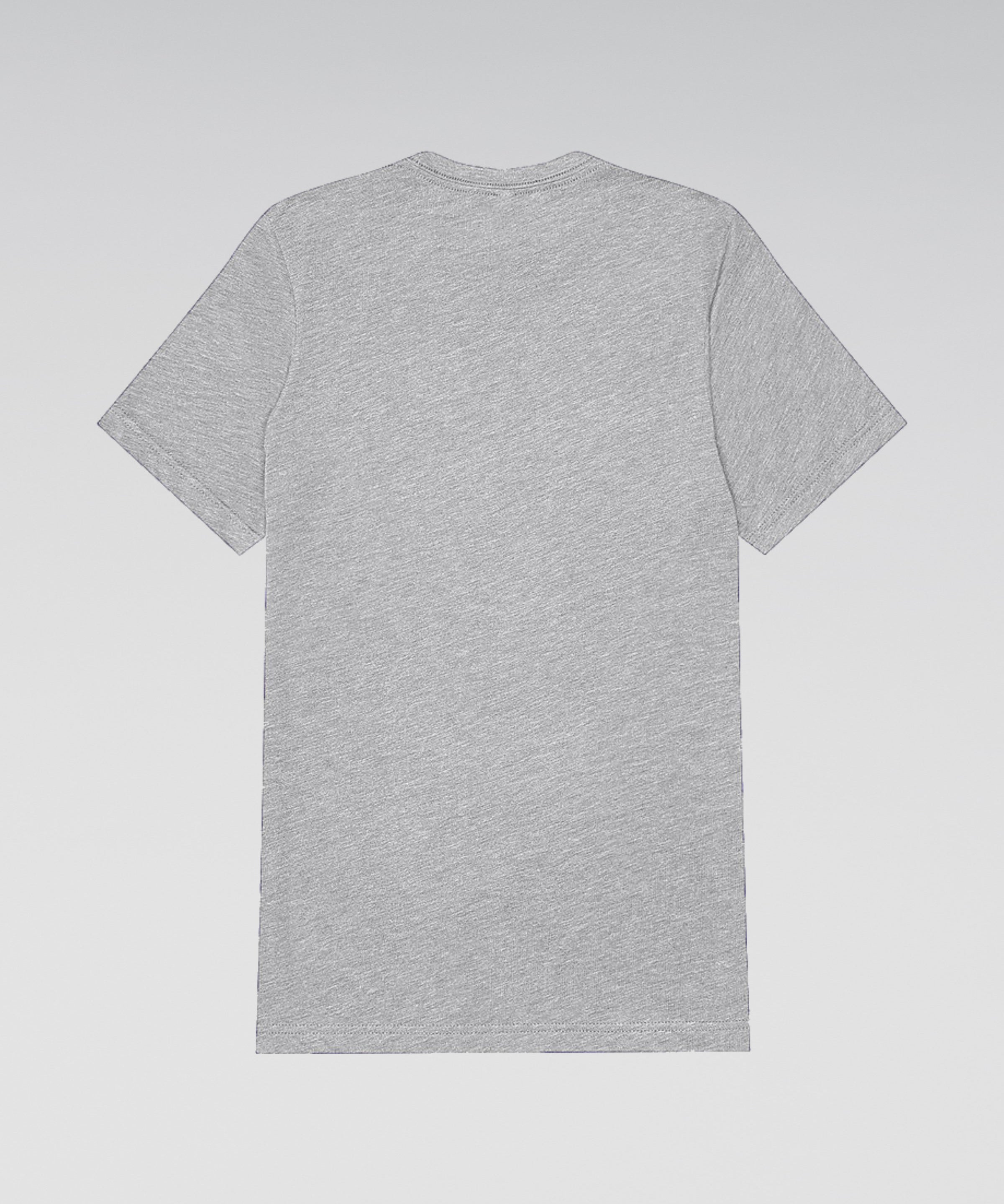 Willpower Triblend Prime T-Shirt (Grey)