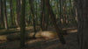 Route of Samsara All Things Will Pass